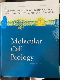 Molecular Cell Biology Fifth Edition