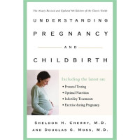 Understanding Pregnancy and Childbirth